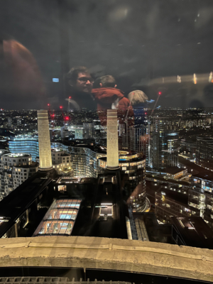 Battersea Power Station View