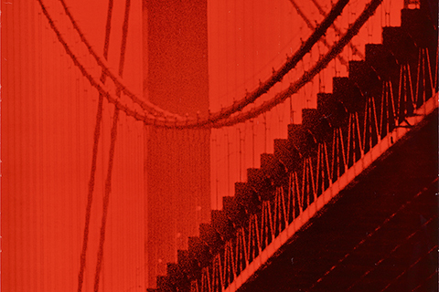 The quiet confidence  of Tomoko Miho